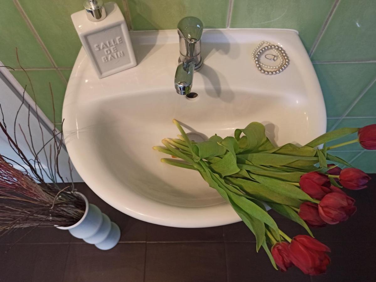 Ubytování Nové Hrady 111 - apartmány Žiaková Exterior foto