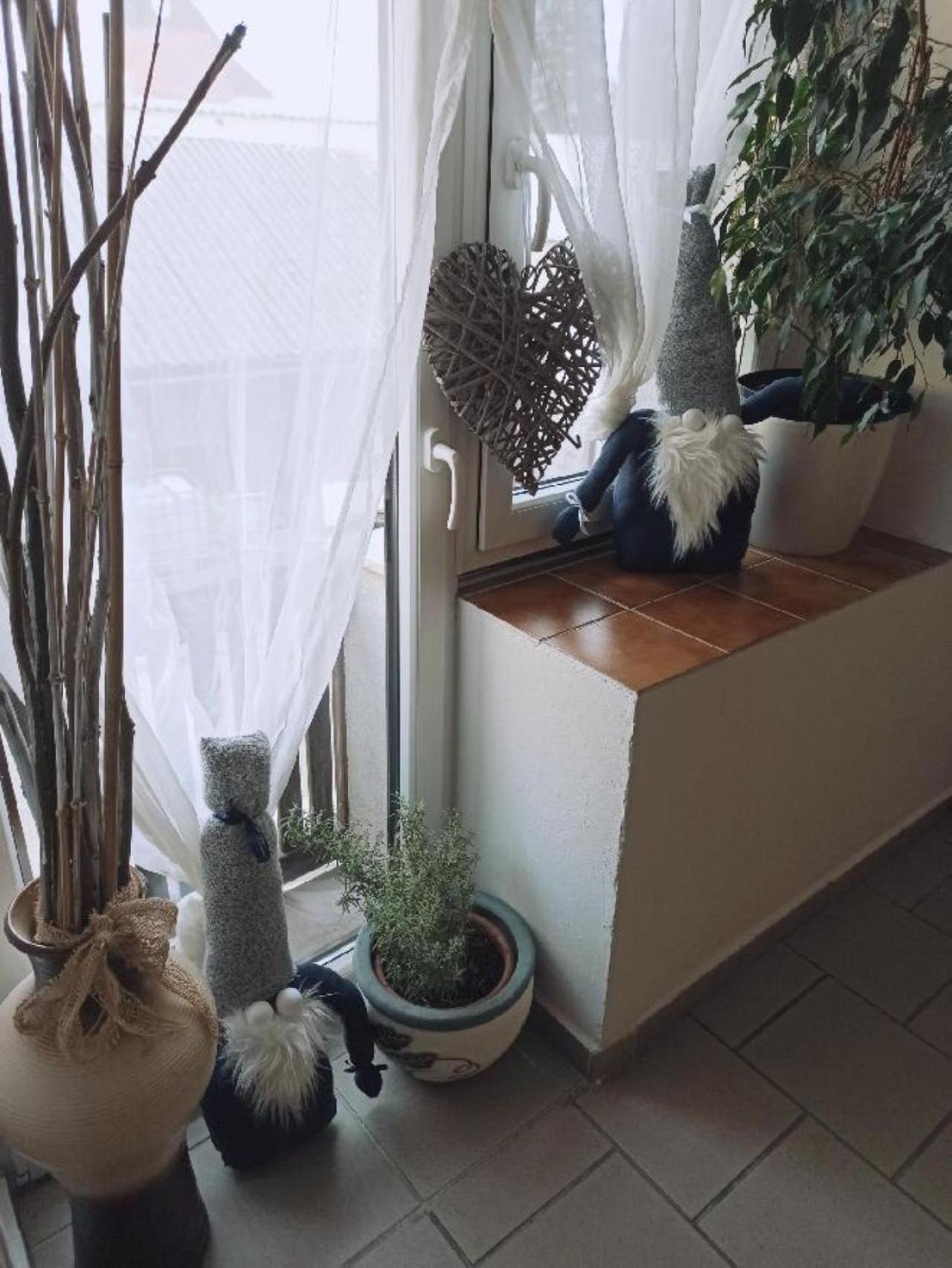 Ubytování Nové Hrady 111 - apartmány Žiaková Exterior foto